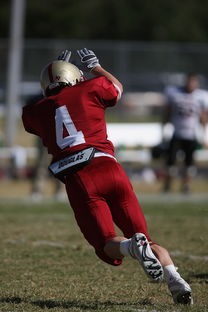 九游sports-CBA赛季转会期开放多支球队进行大规模阵容调整，cba转会动态2021
